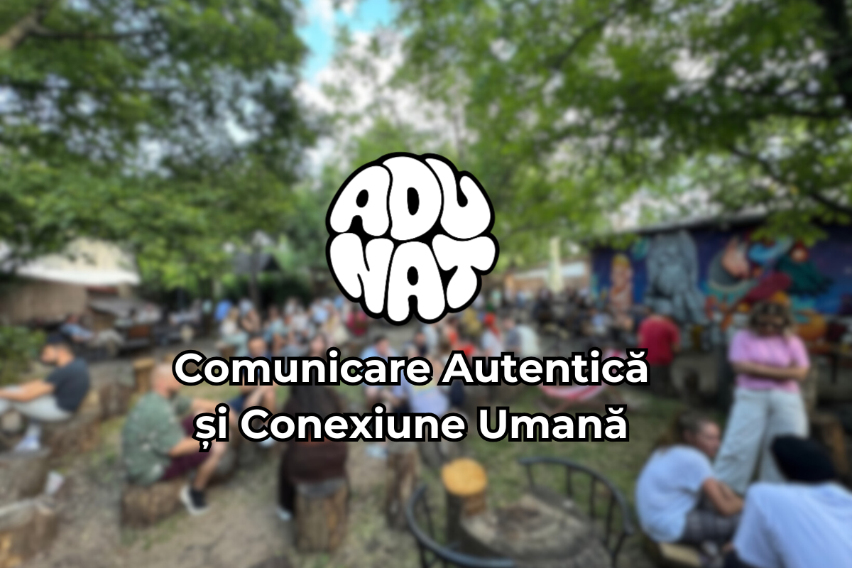 Seara de Socializare