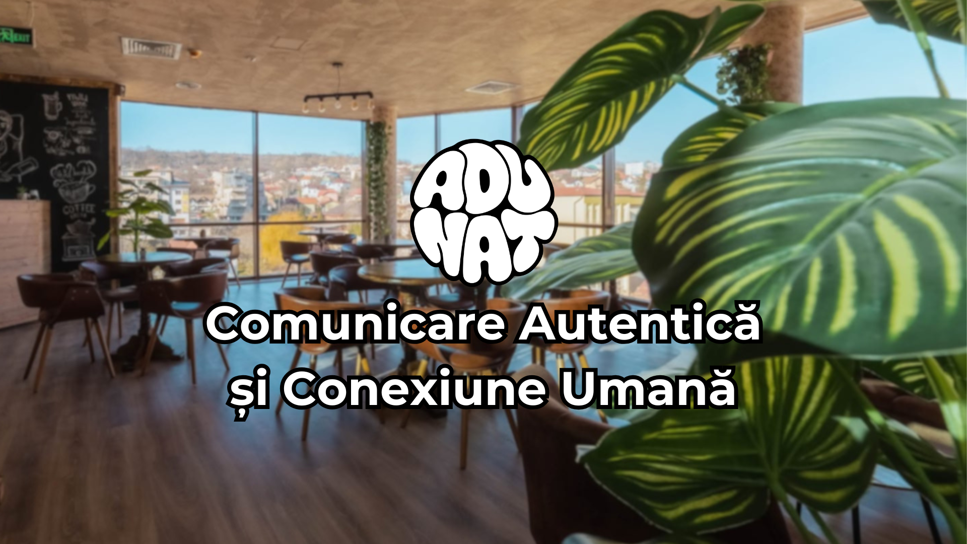 Seară de socializare autentică Zalău