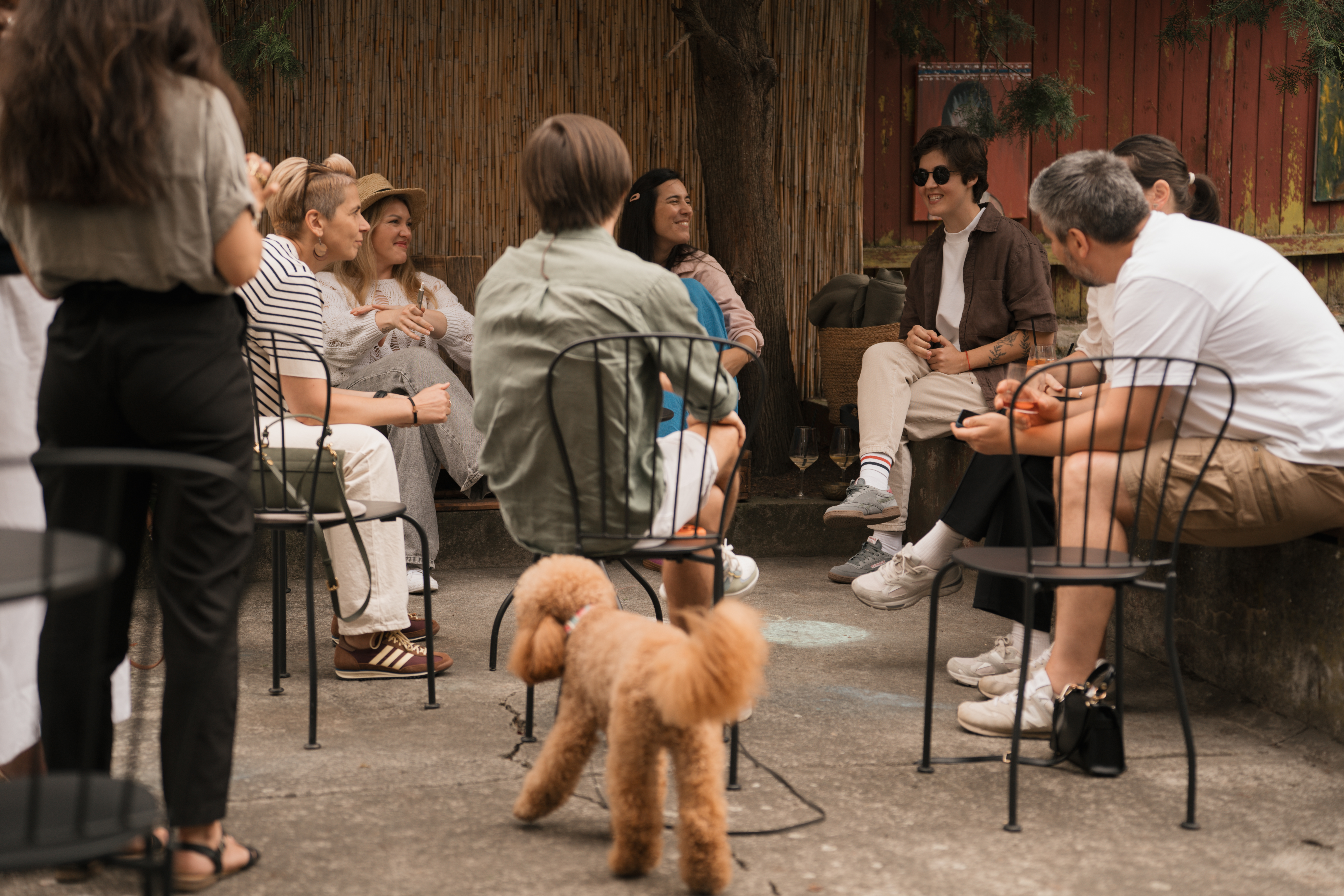 Seară de socializare
