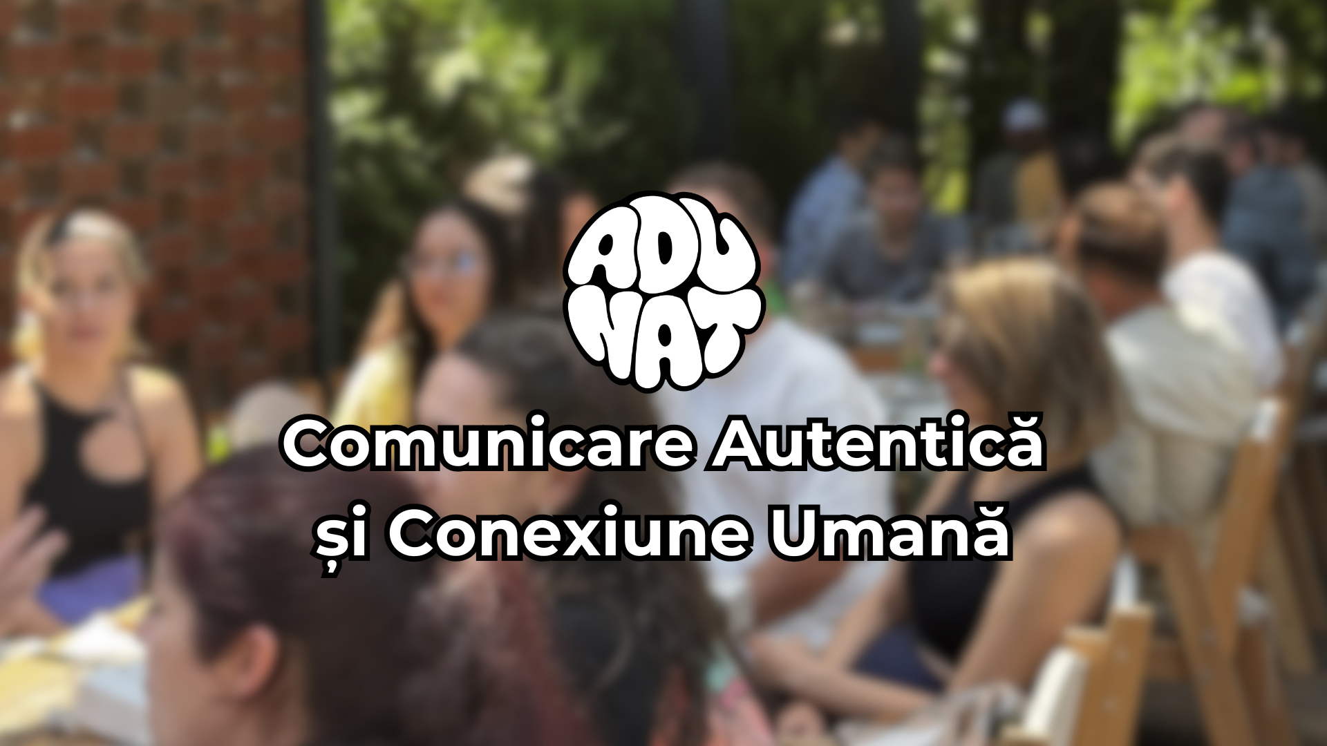 Seara de socializare autentică la Insomnia Cafe